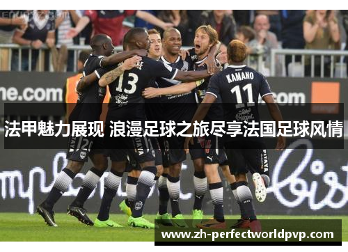 法甲魅力展现 浪漫足球之旅尽享法国足球风情